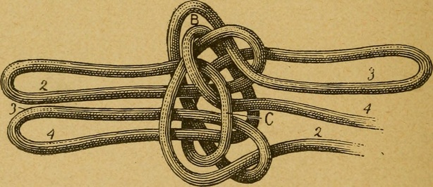 Bild: Internet Archive Book Images/Flickr The Commons