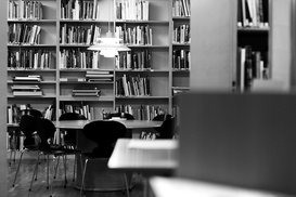 Bibliotekarie på Hasselbladstiftelsen