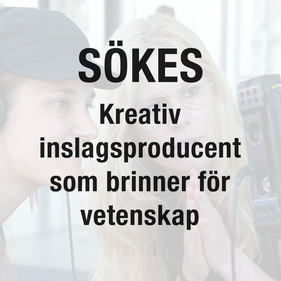 Inslagsproducent till Medieteknik (100%)