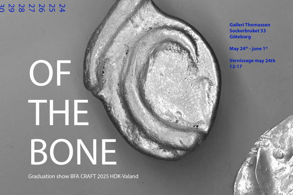 HDK-Valand Examen 2025, kandidat konsthantverk: Of the bone