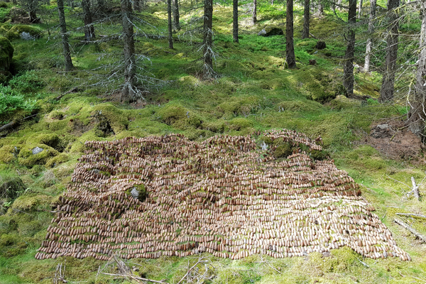 Kanslibyrån – Den tredje hjärnhalvan