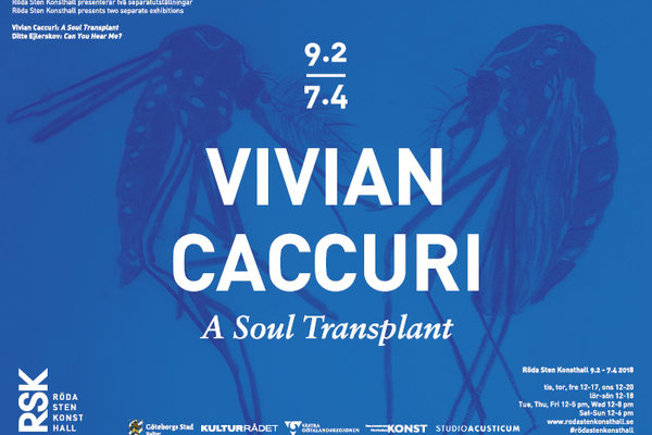 Vivian Caccuri - A Soul Transplant