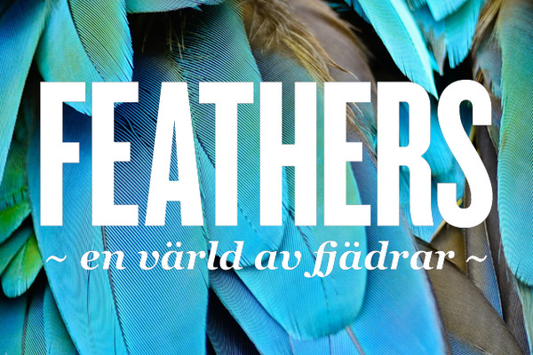 Feathers: Utställningsinvigning med Cirkus Cirkör