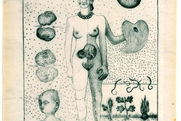 Föreläsning / Det personliga är politiskt – om Frida Kahlo och en postkolonial mexikansk identitet 