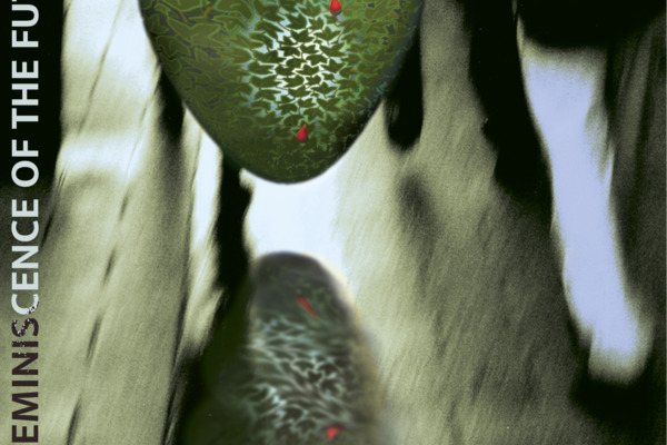 Michel Droetto – The Reminiscence of the Future – Anno 2049