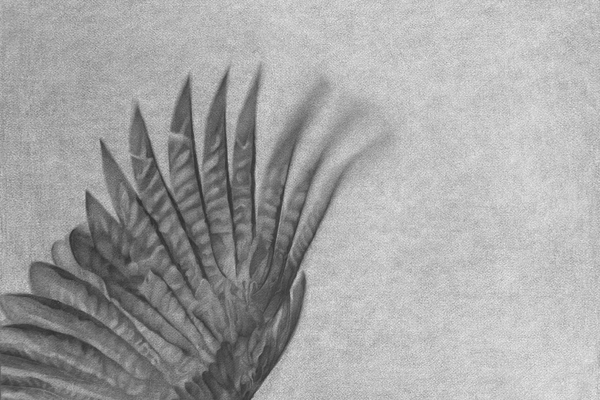 One Flew East One Flew West — Magnhild Opdøl • Internationella Gruppen gästar Glasrummet