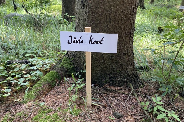 PlATS konst i skogen