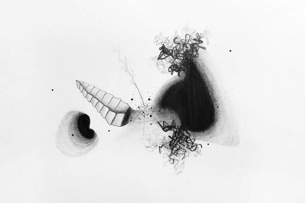Maria Q Brising