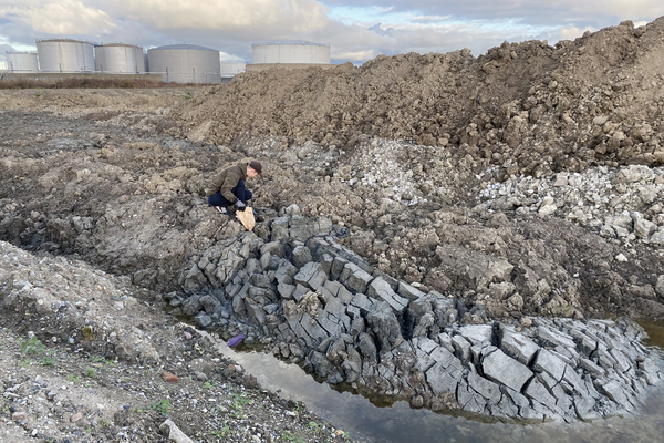 Avfallets stratigrafi- Olle Helin på Galleri KC