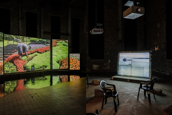 Film as Research: Looking, Nature, Myth