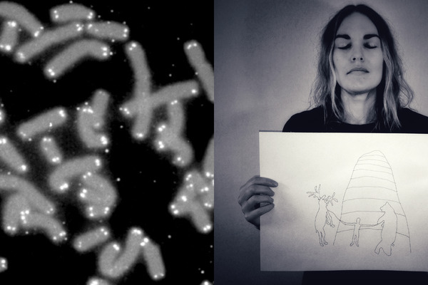 Pernilla Ljungkvist/The Psychic Artist - Det Ultimata