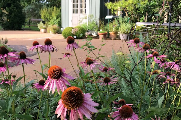 Röhsskas lusthus i Botaniska trädgården