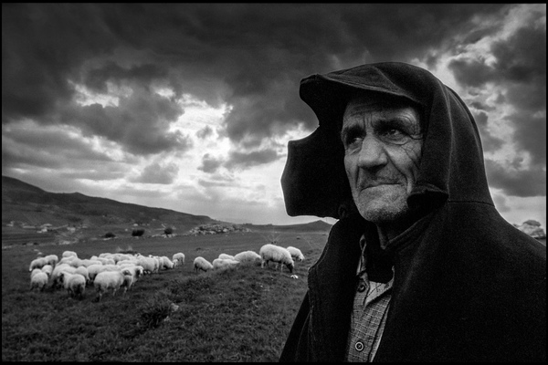 Maffiaosande bilder av Sören Håkanlind