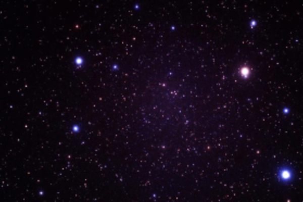 Communicating the Archive - Inscription: Bunny Rogers