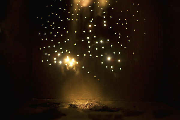 Vernissage: ANNA LAMBERG - Solfall