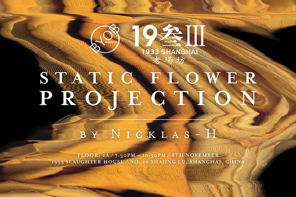 Static Flower: Projection @BYOB (Bring Your Own Beamer)