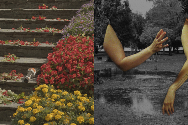 Paradise Pt. II / The Death of Venus