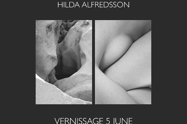 Vernissage fotoutställning - Shape of Nature