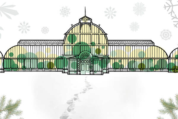 Vinterträdgård i Palmhuset