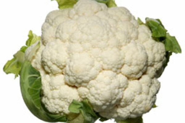 BLOMKÅLSLANDET