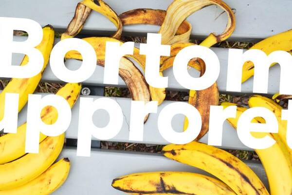 Bortom upproret