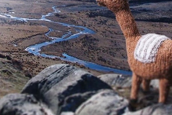 Hönsestrikk : Tema vintagestickning