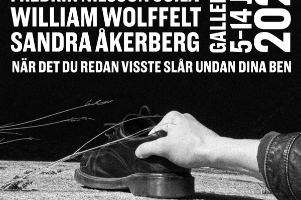 Fredrik Soila, Leon Unsgaard, William J Wolffelt, Sandra Åkerberg – När det du redan visste slår undan dina ben