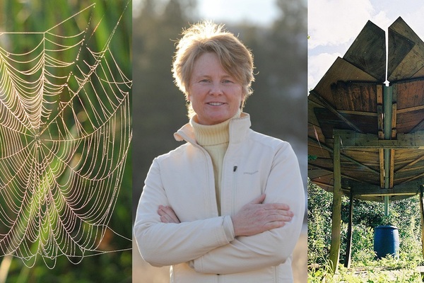 Naturen som designer