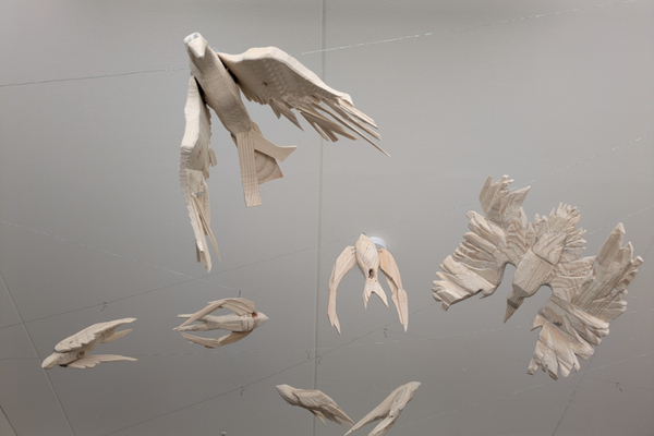 Oleksandra Voronina – Birds That Will Not Find Their Way Home