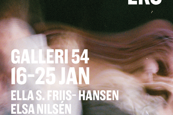 Ella S. Friis-Hansen, Elsa Nilsén,  Ylva Friberger, Zacharias Tienhaara DÔMEN KONSTSKOLAS STIPENDIATER:  Återkallat eko