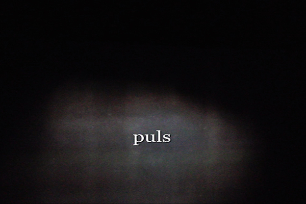 PULS- DIANA STORÅSEN, MIKAEL BOJEN