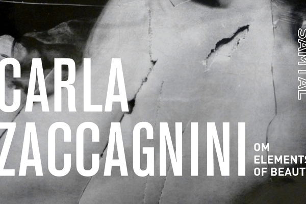 SAMTAL på Röda Sten Konsthall: Carla Zaccagnini om Elements of Beauty