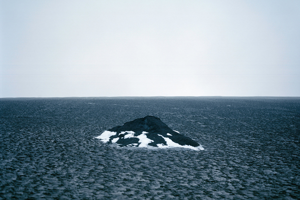 Vernissage - Polaris, Acacia Johnson