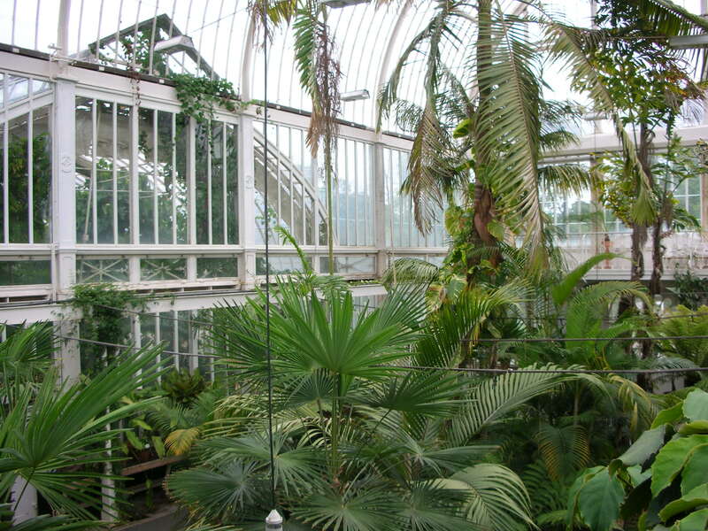 Palmhuset i Trädgårdsföreningen