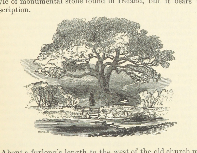 Image taken from page 177 of 'The Beauties of the Boyne and its tributary the Blackwater'. British Library/Flickr The Commons