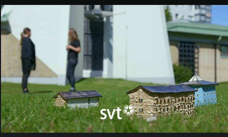 Bild: Screenshot ur programmet/SVT
