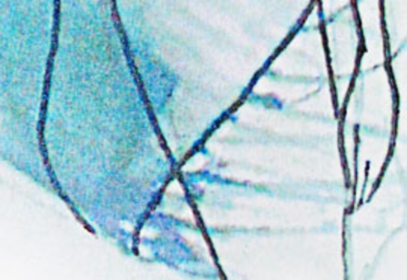 Modevisning på Världskulturmuséet 