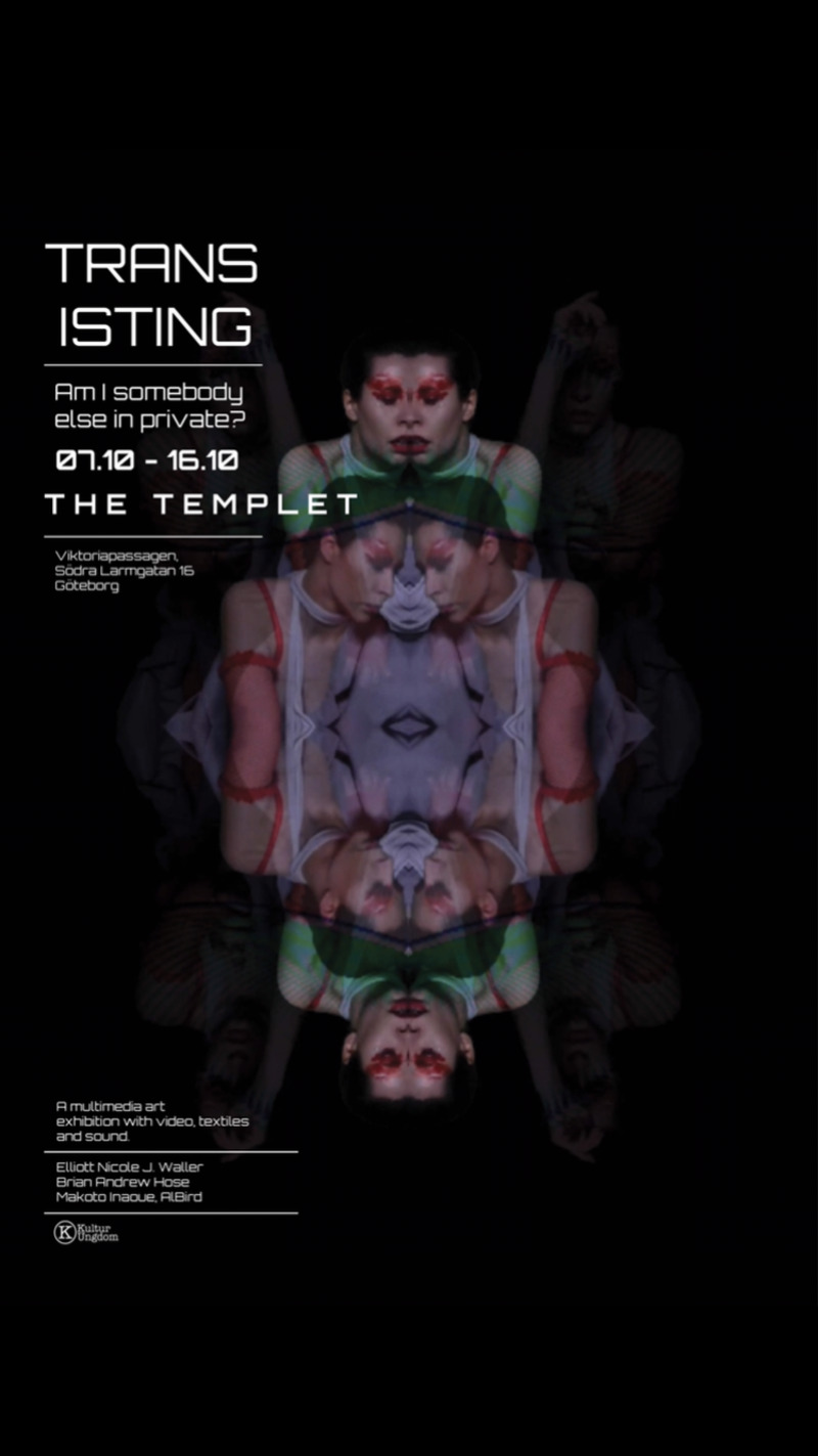 ”Transisting” a Multimedia Exhibition at The Templet