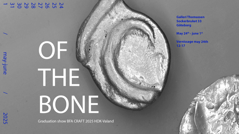 HDK-Valand Examen 2025, kandidat konsthantverk: Of the bone