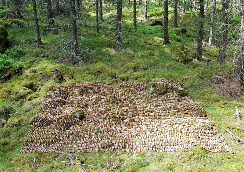 Kanslibyrån – Den tredje hjärnhalvan