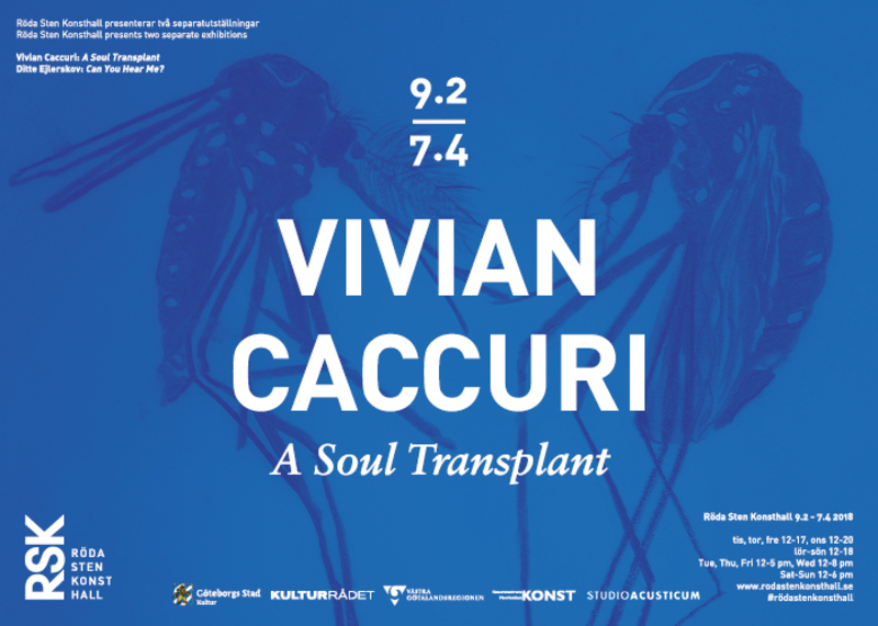 Vivian Caccuri - A Soul Transplant