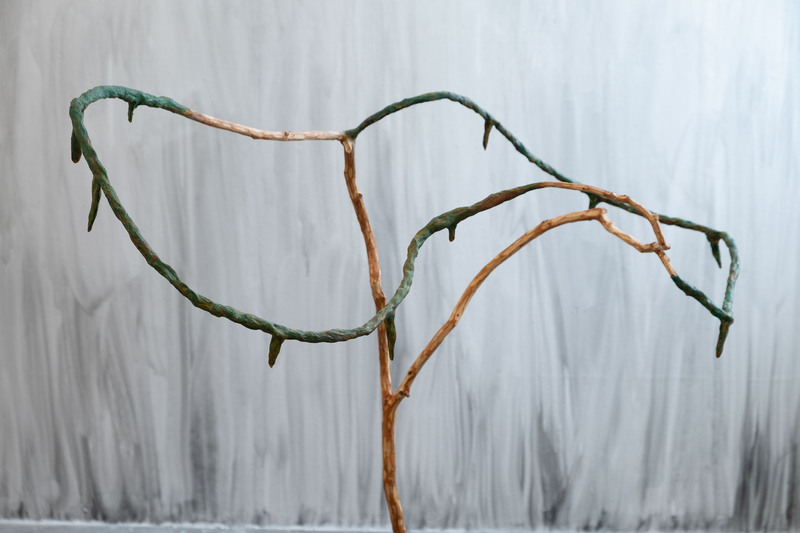 Hin håle — Klara Ström