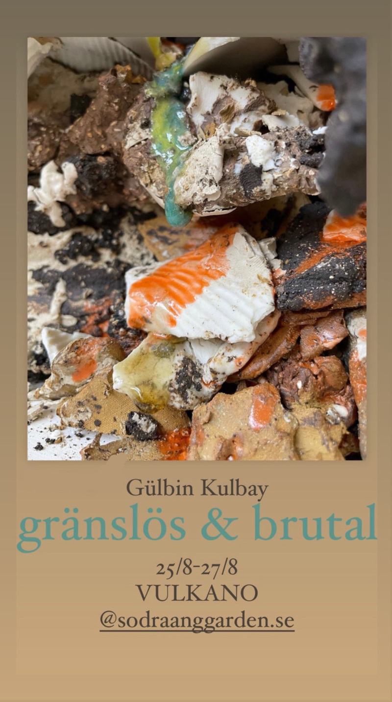 gränslös & brutal - en utställning av gülbin kulbay