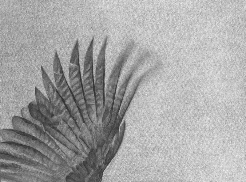 One Flew East One Flew West — Magnhild Opdøl • Internationella Gruppen gästar Glasrummet