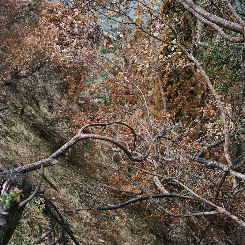 Textur- vävda ytor och indexikala moment- Mari Lagerquist visar fotografi
