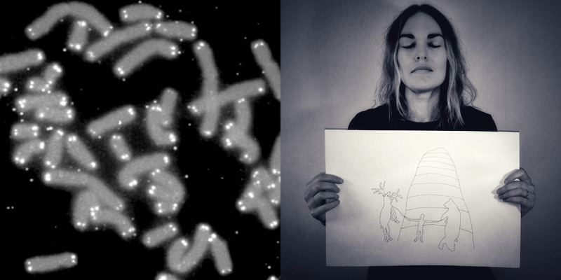 Pernilla Ljungkvist/The Psychic Artist - Det Ultimata