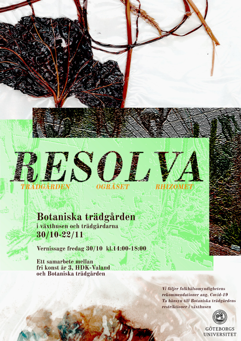 RESOLVA