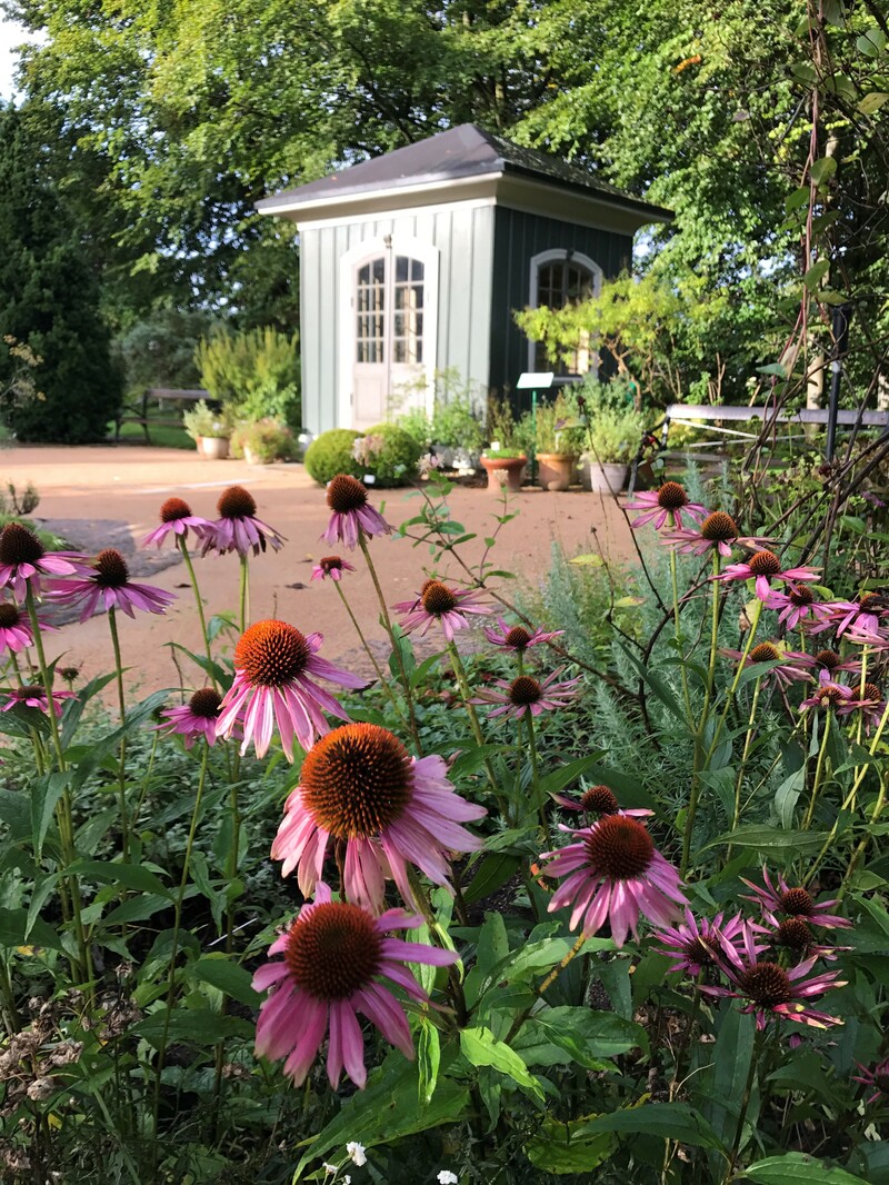 Röhsskas lusthus i Botaniska trädgården