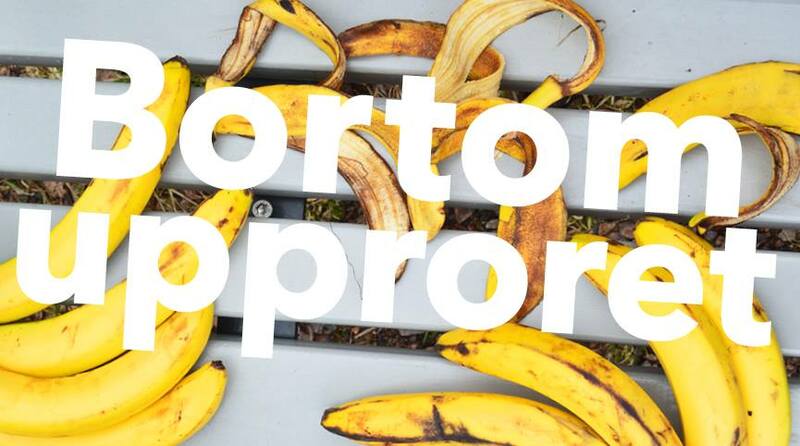 Bortom upproret