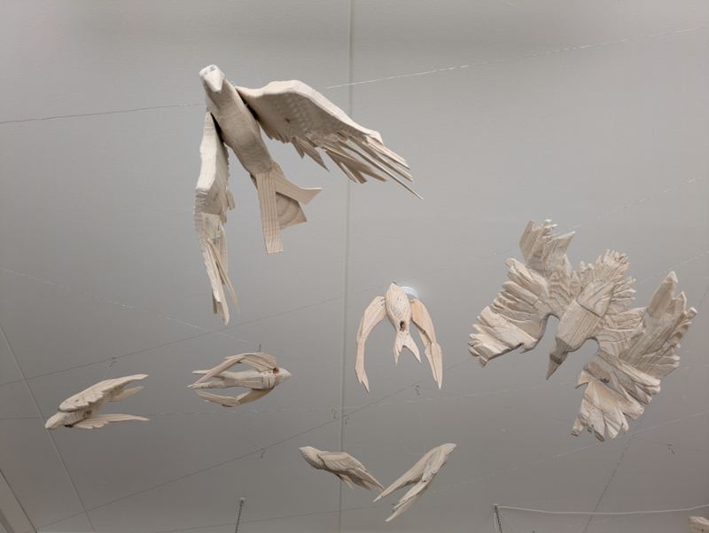 Oleksandra Voronina – Birds That Will Not Find Their Way Home